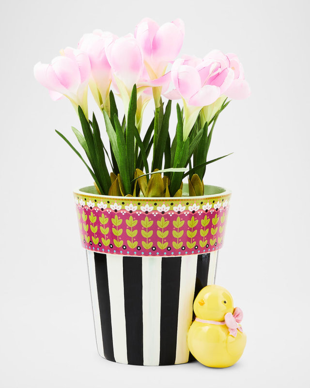 Calico Potted Crocus with Chick